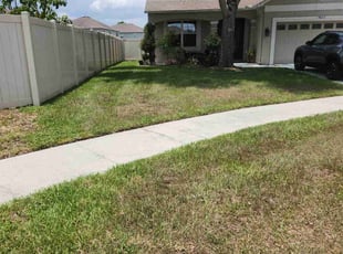 Weeding by Robert Pierson for Amoral B. in Land O' Lakes, FL