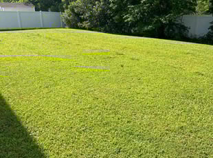 Joseph C.'s Lawn Mowing service result