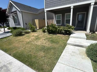 Weeding by Dustin Espinoza for Rachel W. in Fresno, CA