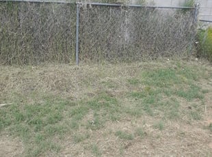 Cleanups by Joseph Slay for Herb H. in Phoenix, AZ