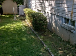 Bush Trimming by Michael Holland for Liza L. in Silver Spring, MD