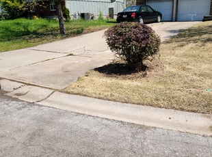 Bush Trimming by Melinda Bartling for Cindy W. in Grandview, MO