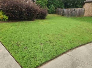 Michelle C.'s Lawn Maintenance service result