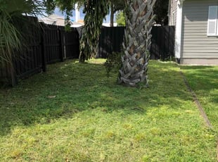 Weeding by Leeandra Terry for Prabhu R. in Tampa, FL