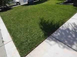 Sierra H.'s Yard Cutting service result