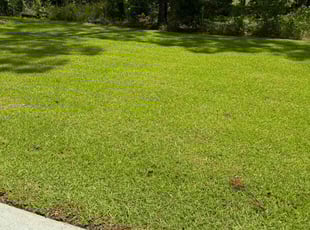 Karen S.'s Lawn Care service result