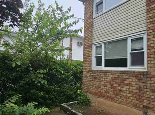Bush Trimming by Efrain Colon for Carline S. in Staten Island, NY