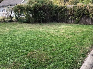Cleanups by Sheila Brown for Jason W. in Kansas City, MO