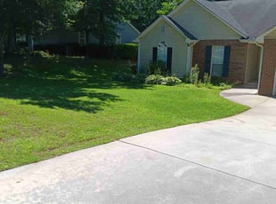 Michelle H.'s Lawn Service service result