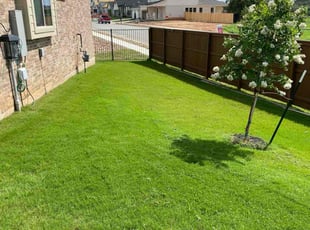 Heather L.'s Yard Cutting service result