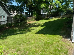 Stephanie A.'s Lawn Mowing service result