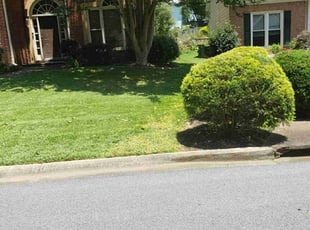 Bush Trimming by Peter Coke for Kerri T. in Marietta, GA