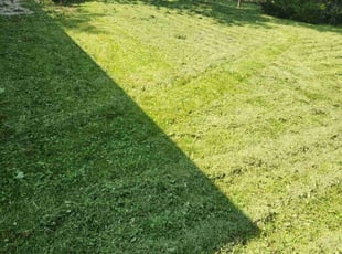 Sean H.'s Lawn Mowing service result