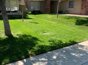 Nicole H.'s Yard Cutting service result