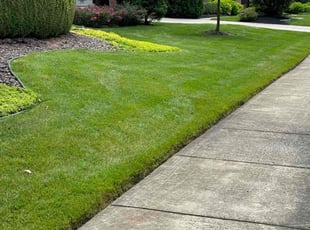 Marcy H.'s Lawn Mowing service result