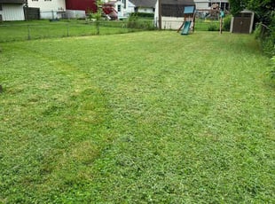 Andrew B.'s Yard Cutting service result