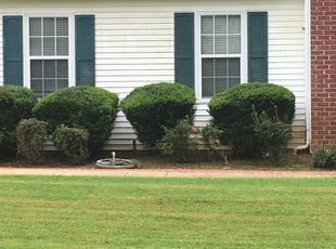 Bush Trimming by Markeiven Ogburn for Veronica A. in Fayetteville, GA
