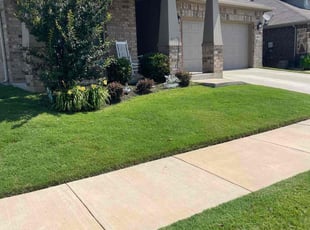 Bush Trimming by Samuel Fogg for Karen L. in Denton, TX