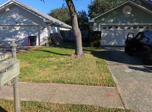 Susan H.'s Lawn Maintenance service result