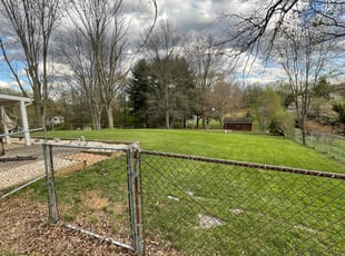 Shannon S.'s Lawn Mowing service result