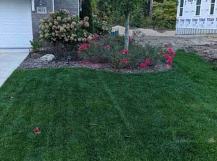 Austin S.'s Lawn Mowing service result