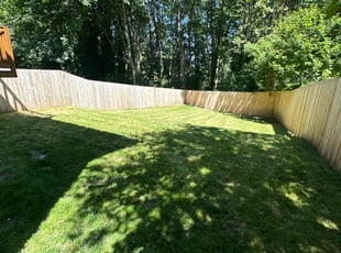 Megan Z.'s Lawn Mowing service result