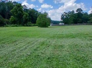 Curtis S.'s Lawn Care service result