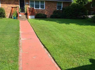 Crystal R.'s Lawn Service service result