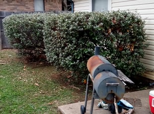 Bush Trimming by Gralin Johnson for 3417 Meadowmoor St Fort Worth, TX 76133 P. in Fort Worth, Tx