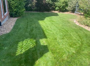 Andrew J.'s Lawn Care service result