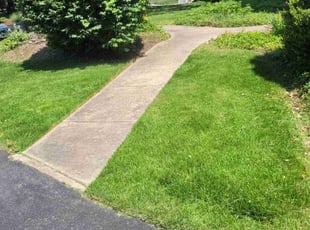 Logan B.'s Lawn Care service result