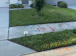 Mark B.'s Lawn Care service result