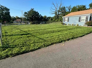 Yvonne C.'s Lawn Mowing service result