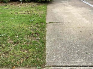 Sam G.'s Yard Cutting service result