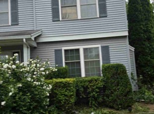 Bush Trimming by Desmond Sanders for Chandra U. in West Henrietta, NY