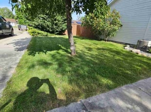 Jonathan M.'s Lawn Mowing Service service result