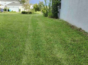 Lisa G.'s Lawn Care service result