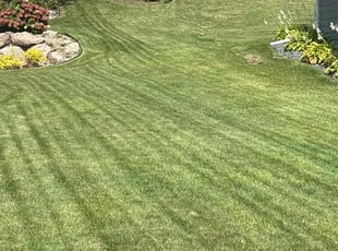Carol M.'s Lawn Mowing service result