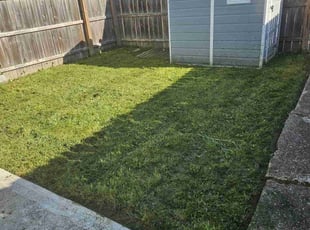Robert R.'s Lawn Mowing service result