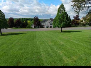 Aoife C.'s Lawn Service service result