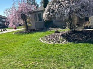 Mike M.'s Lawn Service service result
