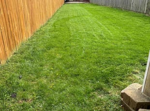 Barbara P.'s Lawn Service service result