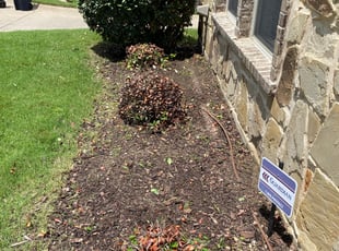Weeding by John Cruz for CHRISTINA M. in Fort Worth, TX
