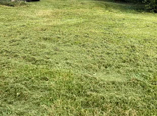 Rob R.'s Lawn Care service result