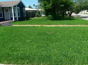 Nilza L.'s Lawn Care service result