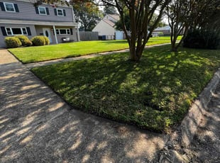 Alexis C.'s Lawn Care service result