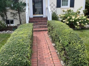 Bush Trimming by Gus Cronley for Jillian M. in Alexandria, VA