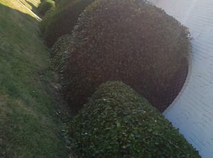 Bush Trimming by Jason Parker for Lindsay J. in Oklahoma City, OK