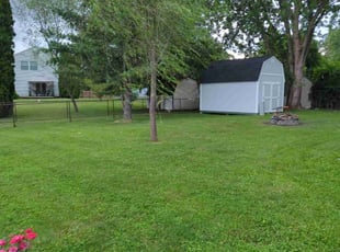 Cindy A.'s Lawn Mowing Service service result