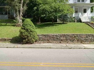 Adam W.'s Lawn Mowing service result
